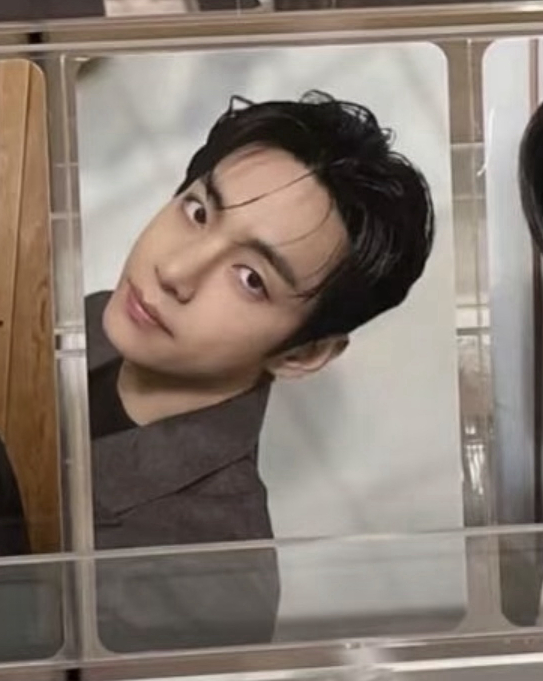 WM ld 泰+一套專輯