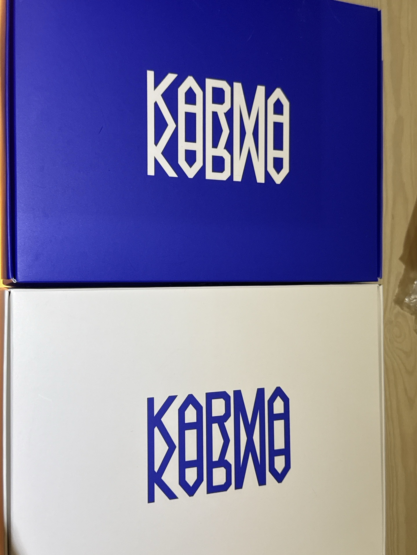 Stray Kids KARMA 藍/白