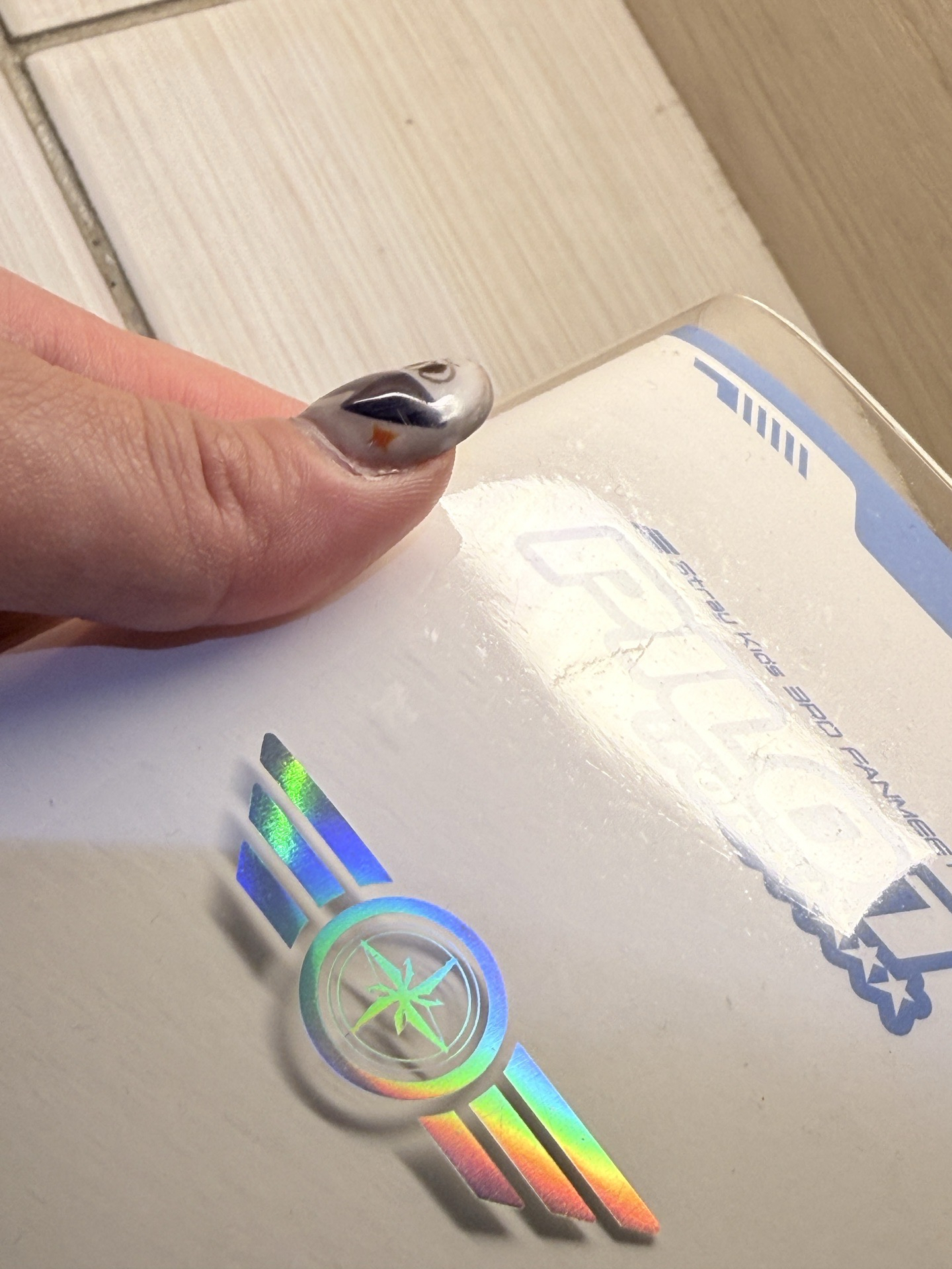 Stray Kids 3rd Fanmeeting Pilot 護照