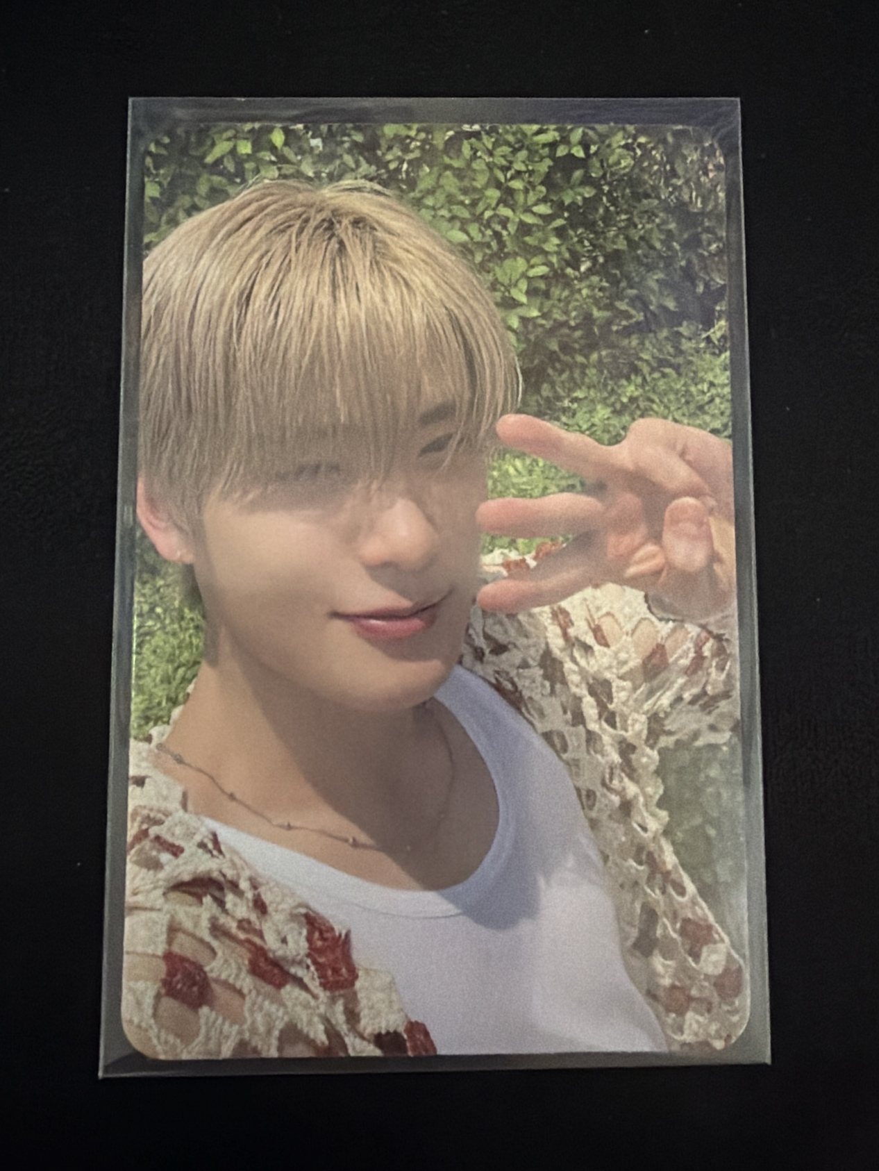 NCT DJJ 鄭在玹 專卡