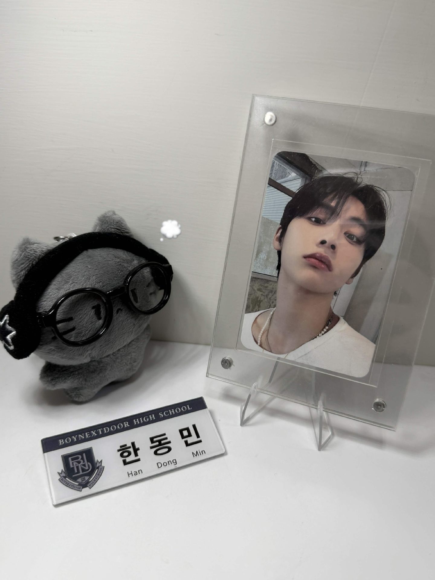 小貓讚嘆..為何如此帥