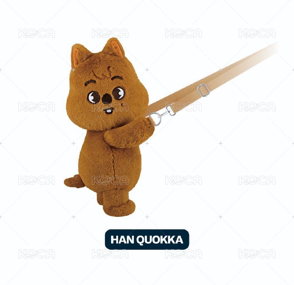 HAN 韓知城 3rd 世巡安可快閃店 大娃 側背娃