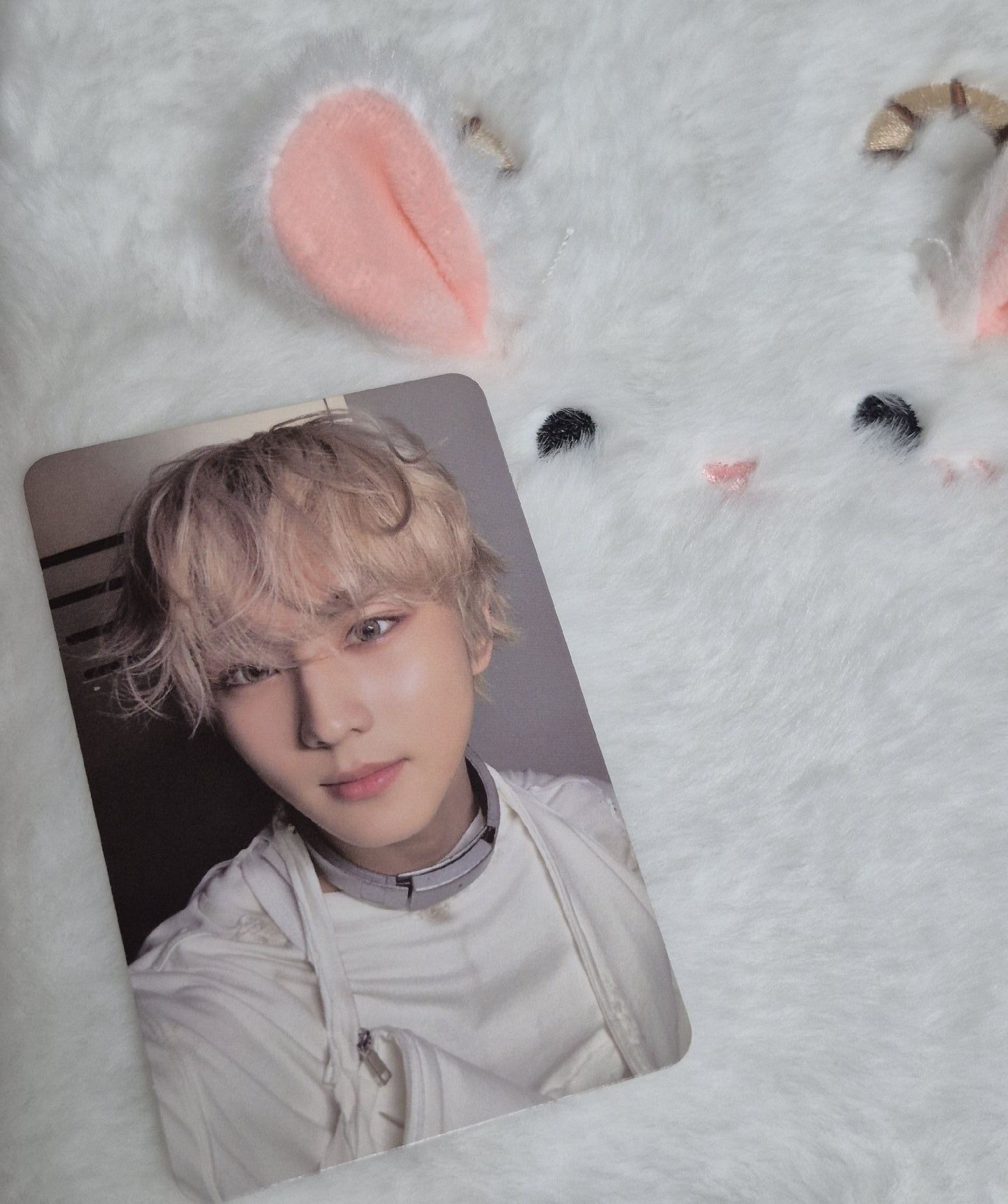 梁禎元 迷六蝦皮泰國線下簽售卡