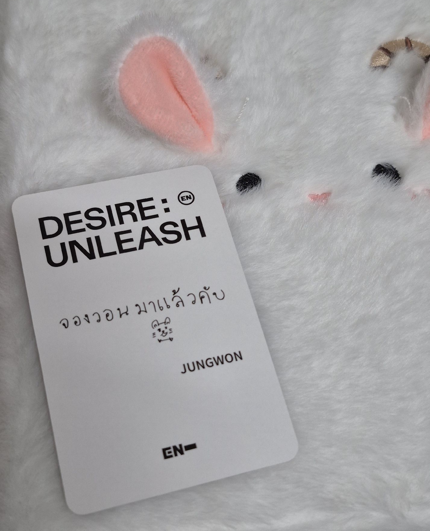 梁禎元 迷六蝦皮泰國線下簽售卡