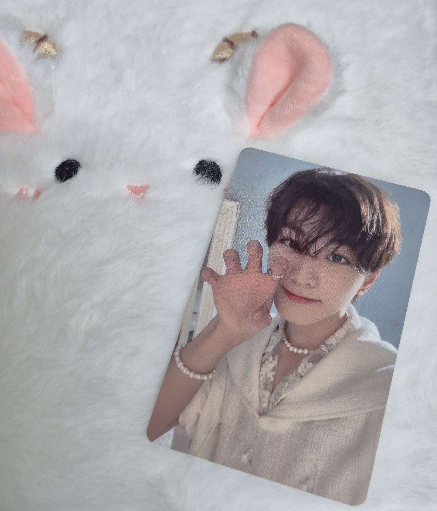 梁禎元 迷五PB油管特典