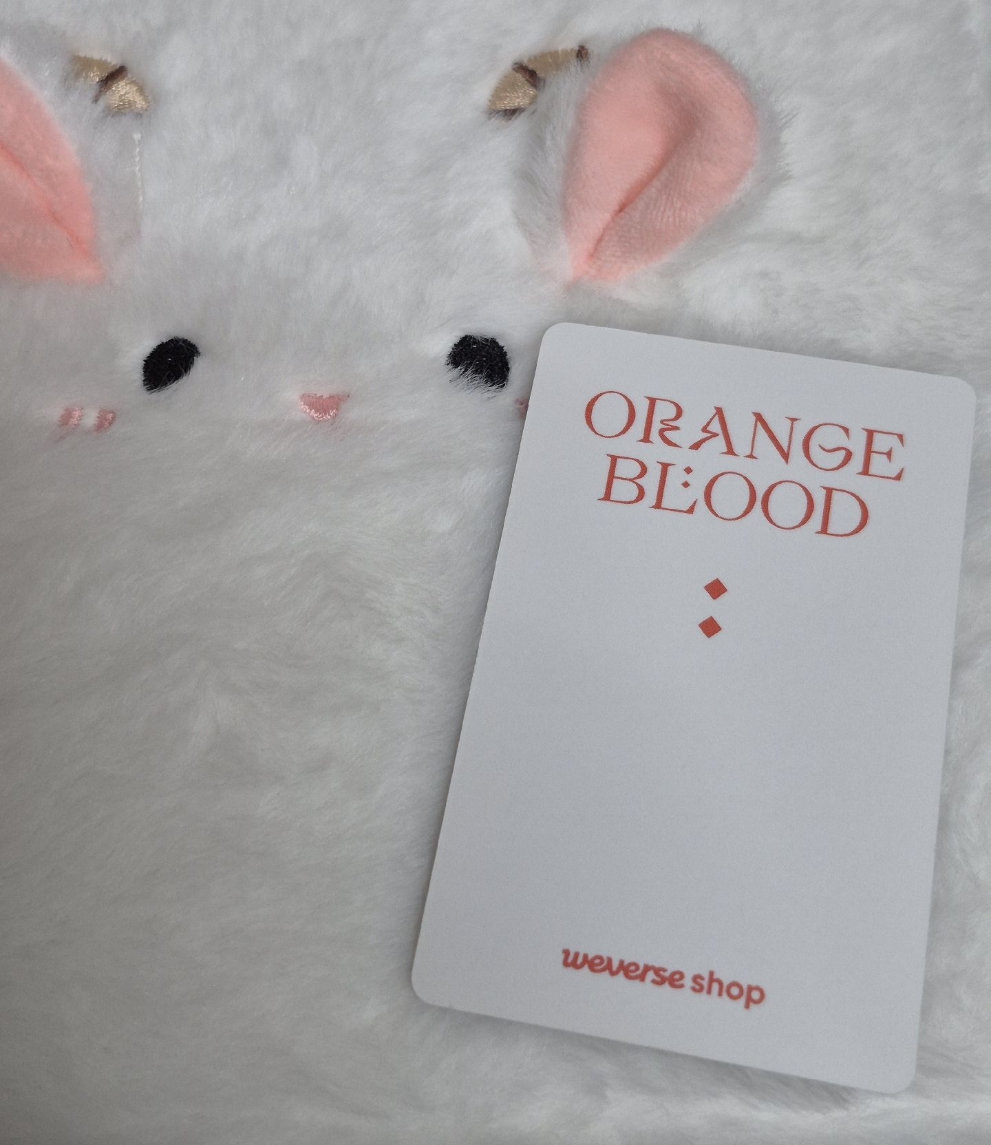 梁禎元 迷五PB油管特典