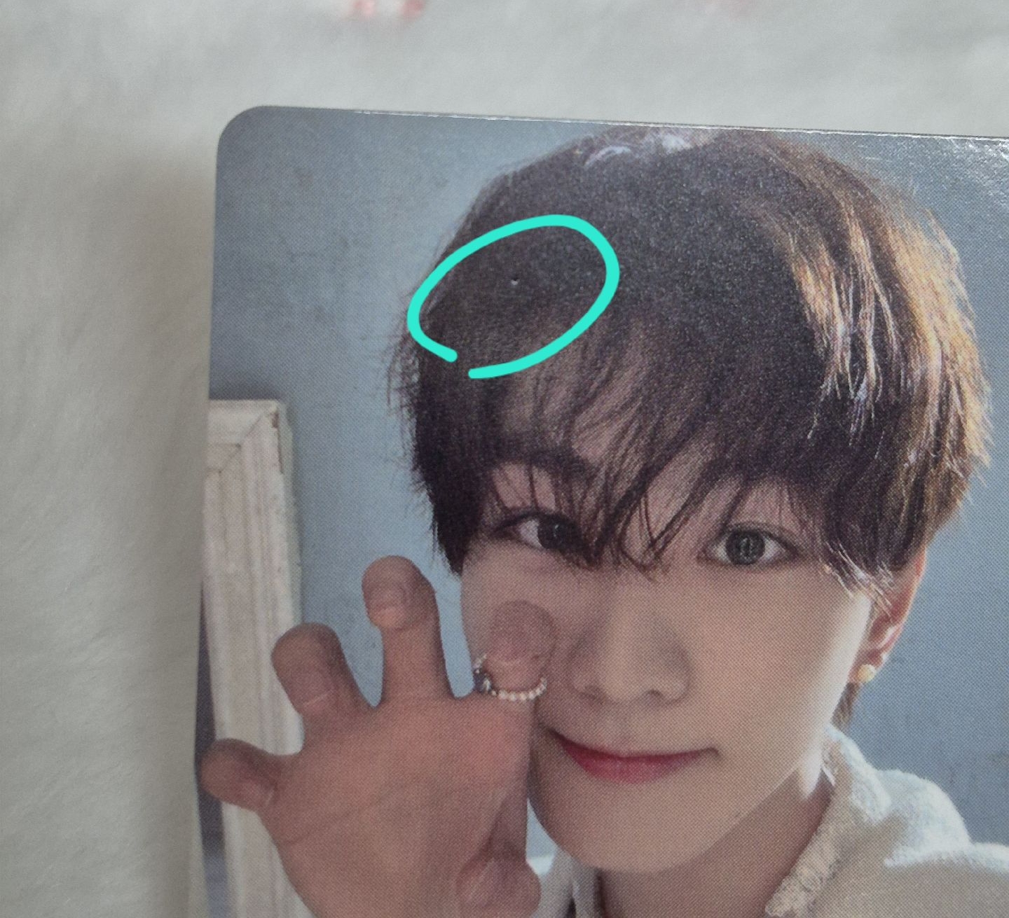 梁禎元 迷五PB油管特典