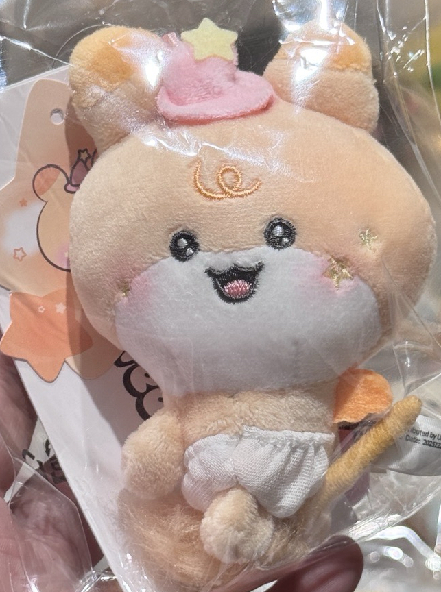 中掃帚寶寶🧹（限量反邊ver.?