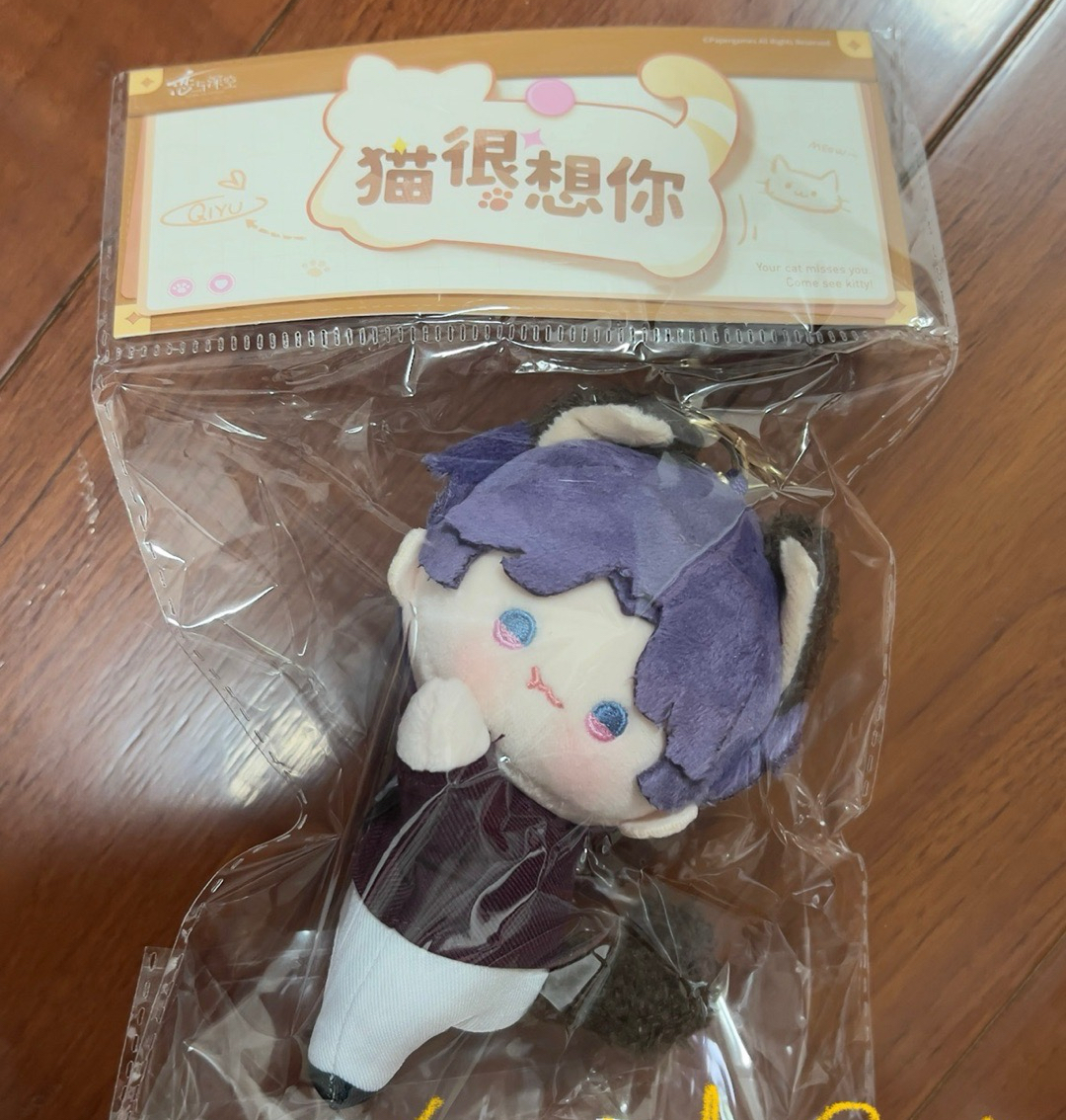 ［現貨 皆全新］祁煜🐟猫很想你磁吸毛絨娃+壓克力板筆筒