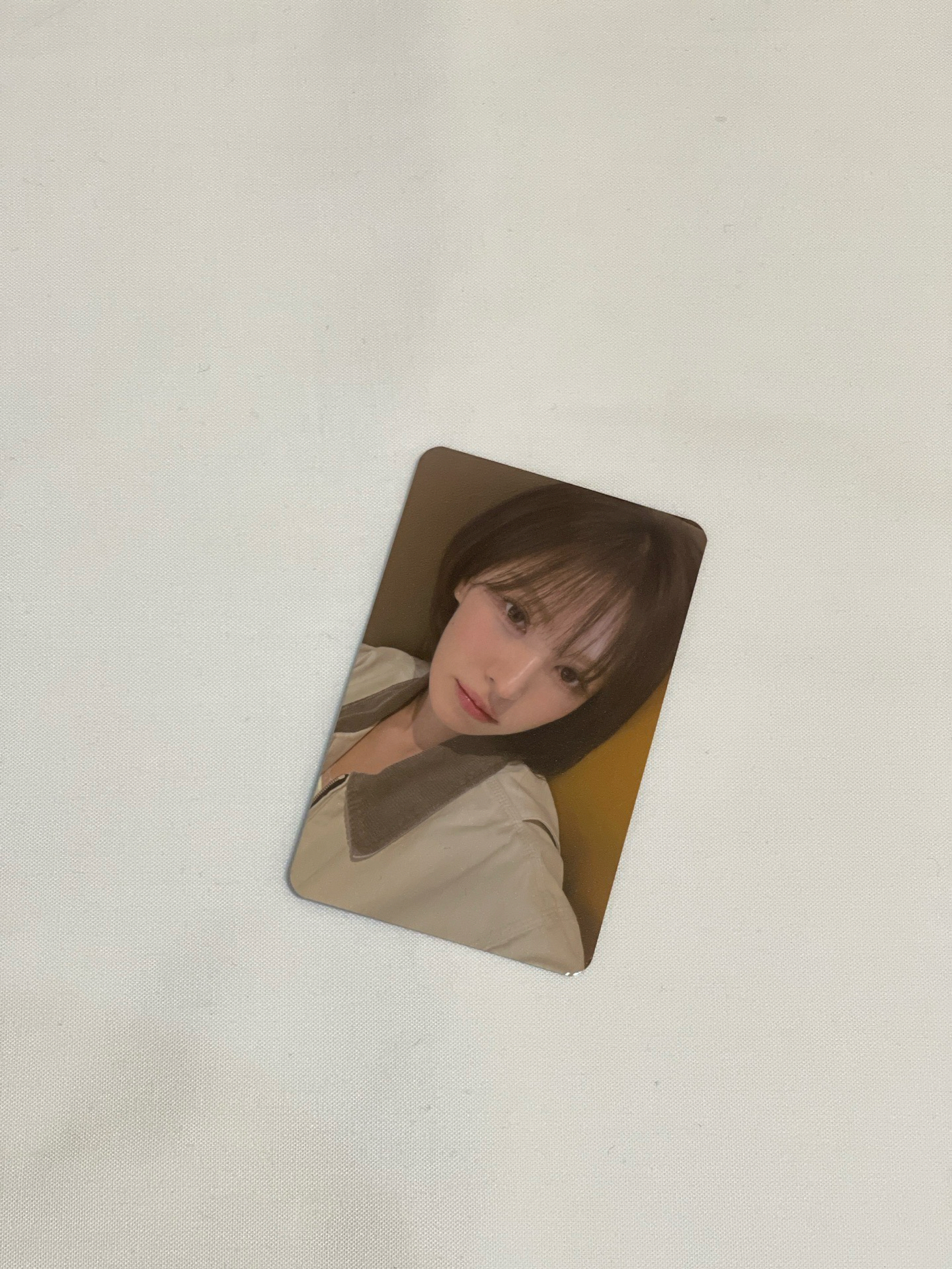 Wendy 櫻花季入場卡