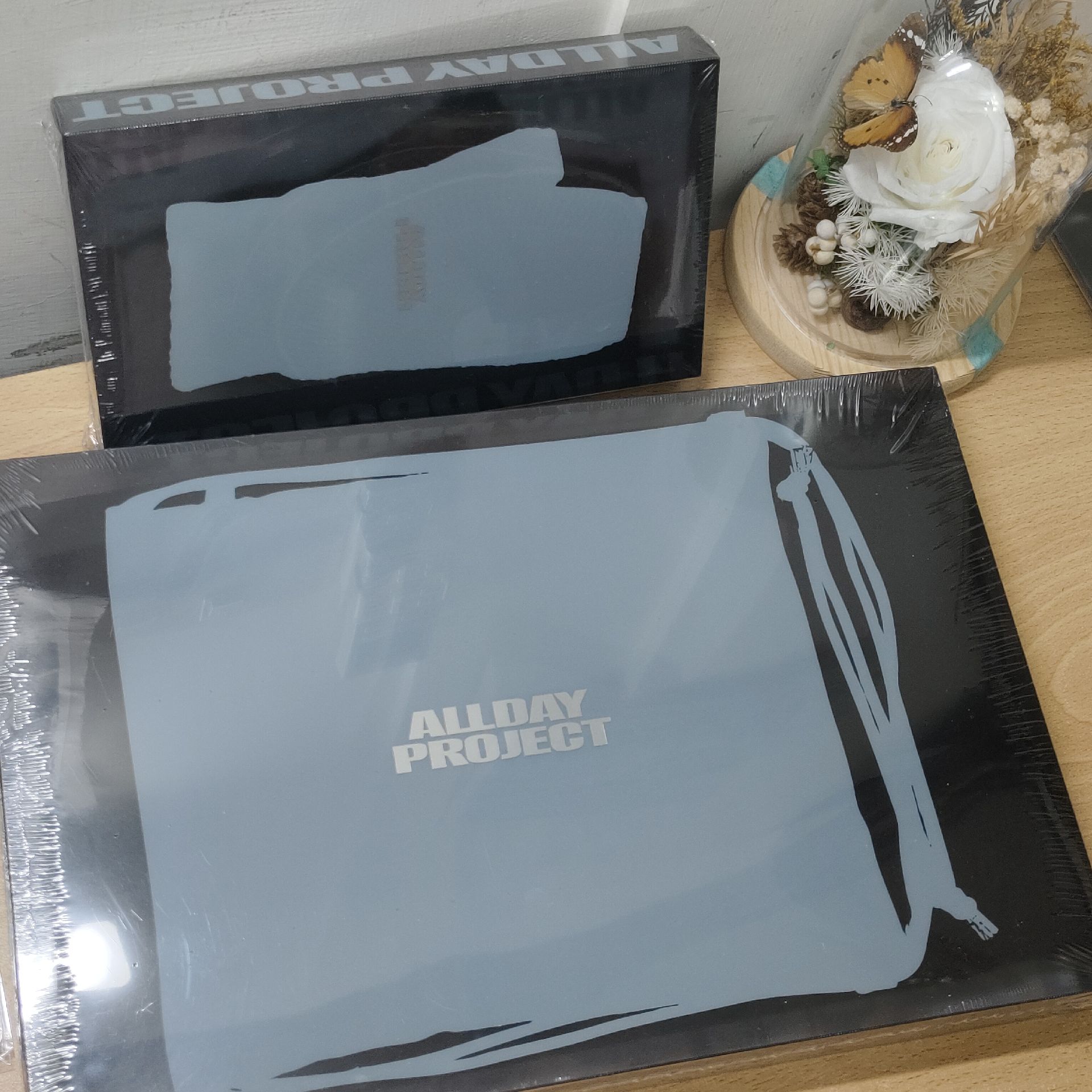 【現貨】ALLDAY PROJECT mini1 手套專 &背包專