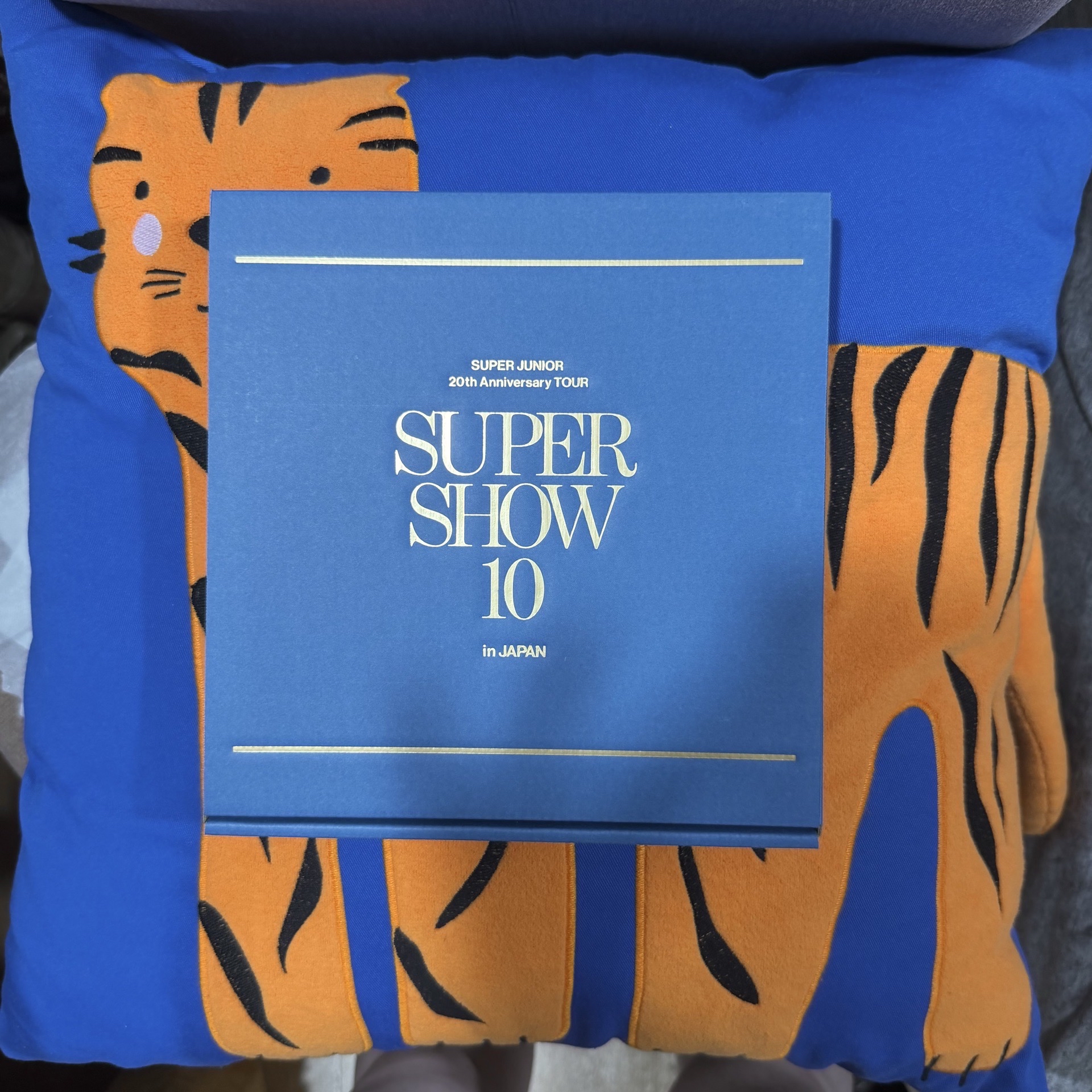 SS10 日週 全新未拆 點心盤 盤子 + 9人全員小卡 