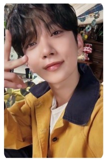 秀 消費期限克拉盤 全專 