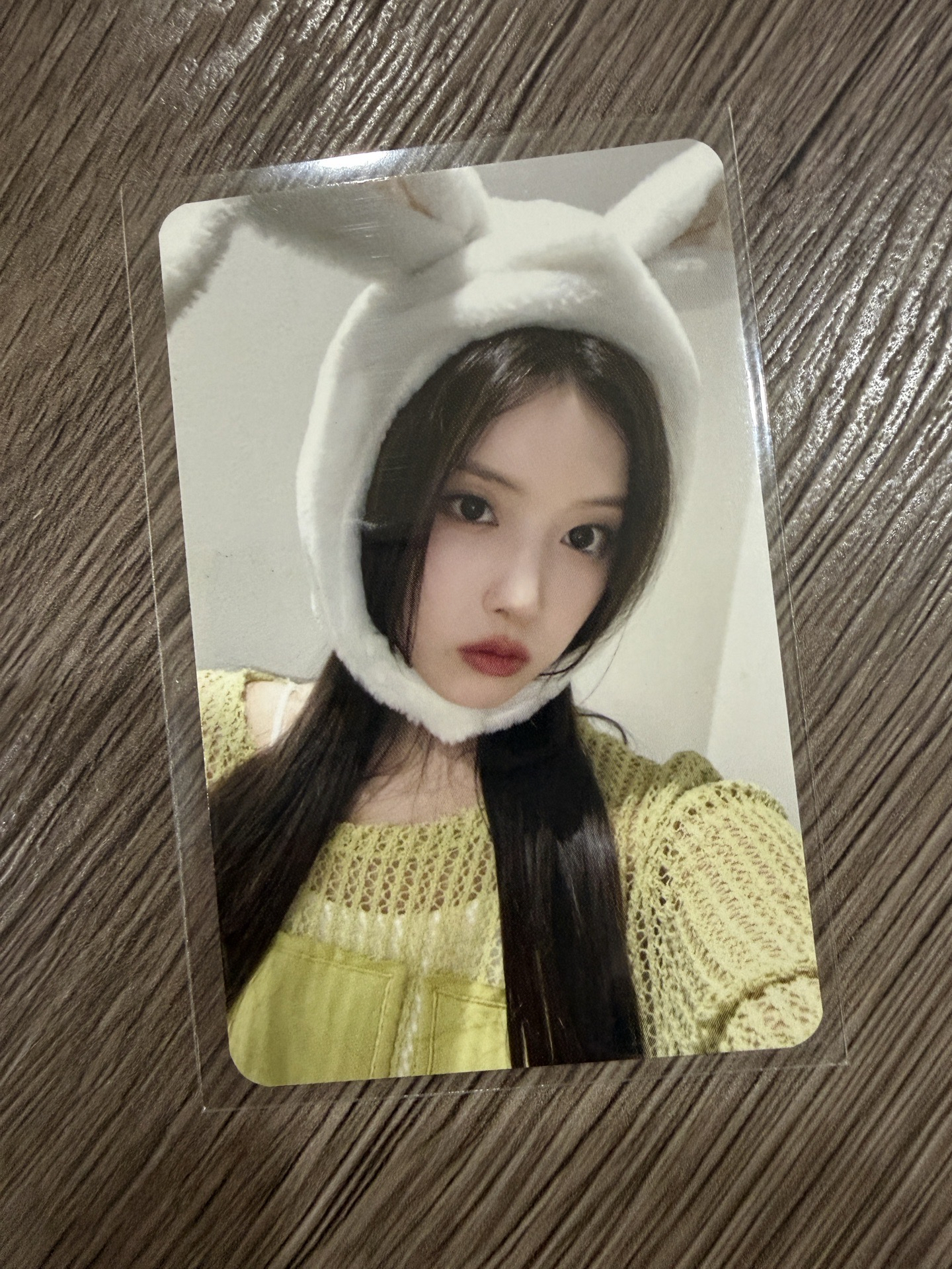 兔子頭套友 🐰🐶