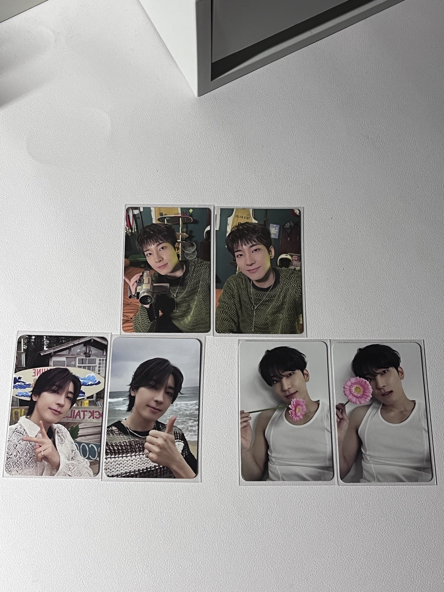 西瓜皮貓（兩張）