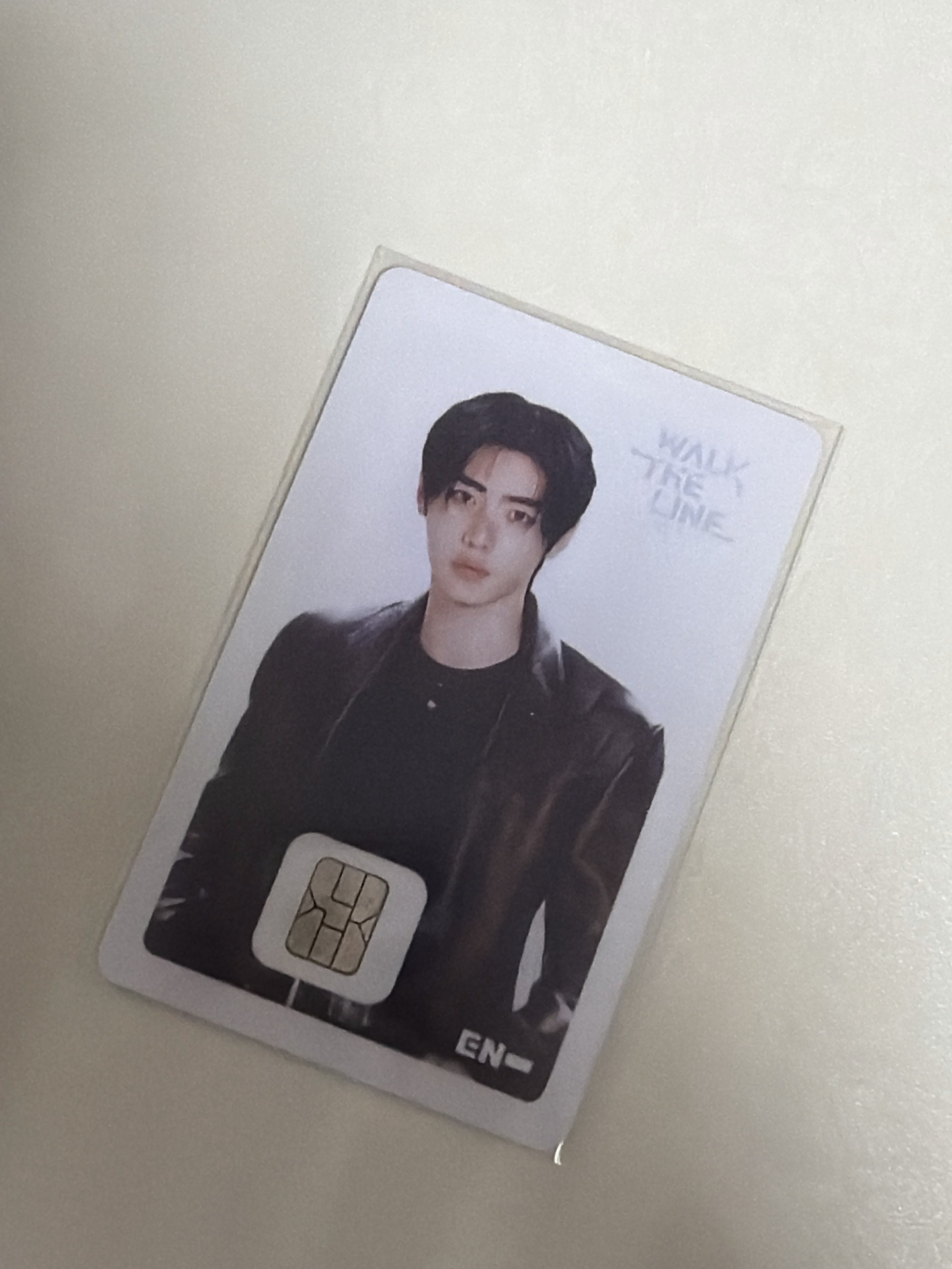 世巡 NAMANE 交通卡-訓