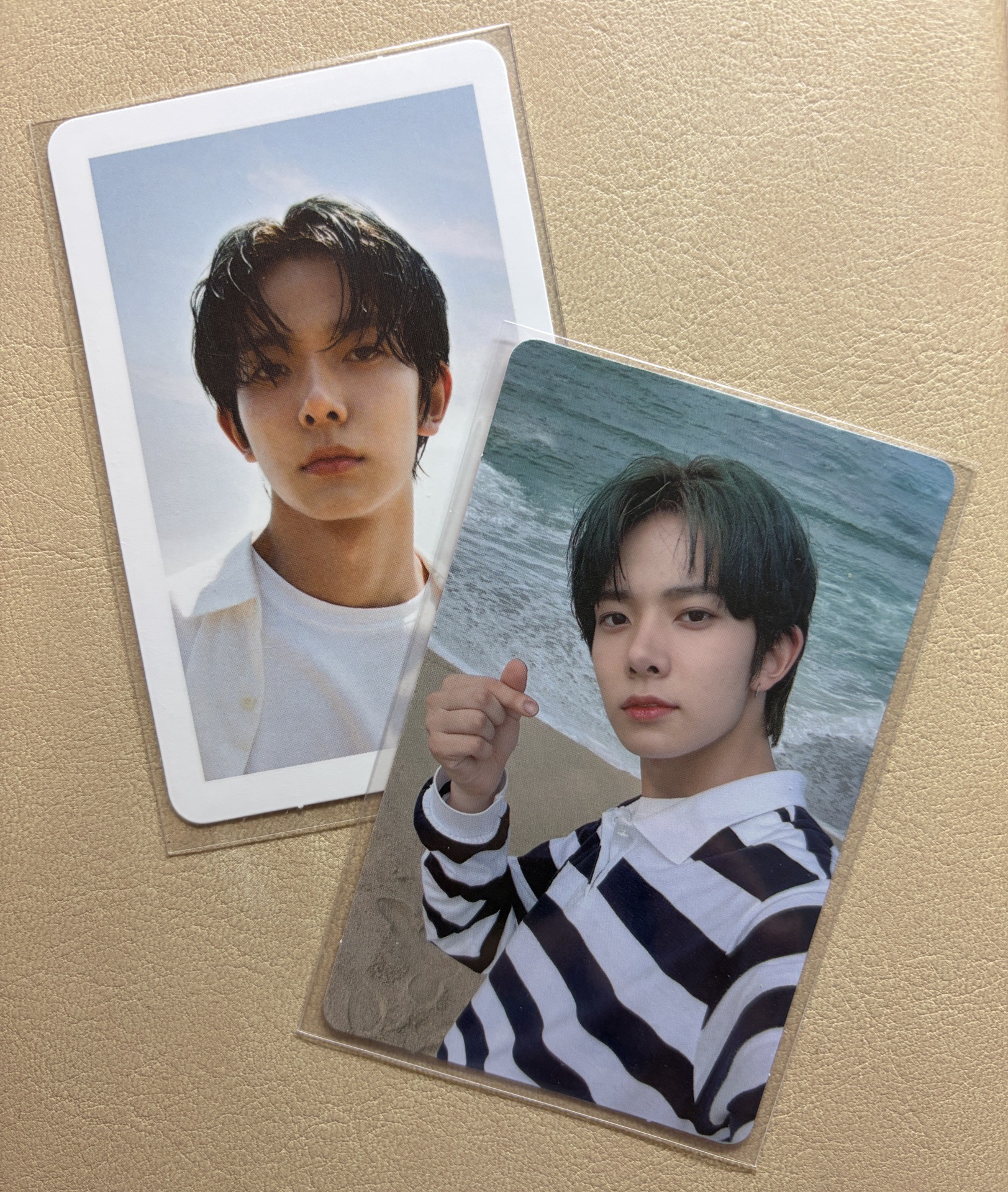 海囚羲 新那拉羲