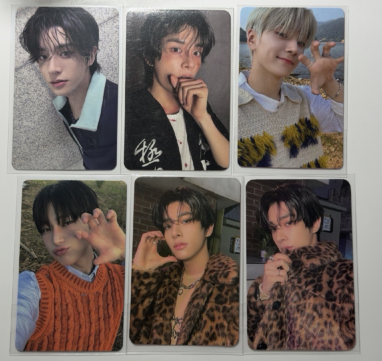 薄荷倫 貓爪星 豹紋倫 彩排倫大盤