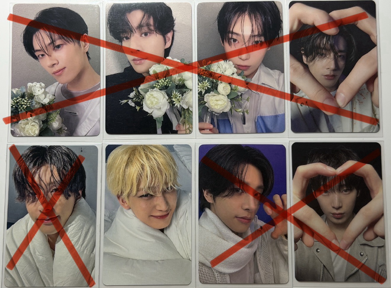 薄荷倫 貓爪星 豹紋倫 彩排倫大盤