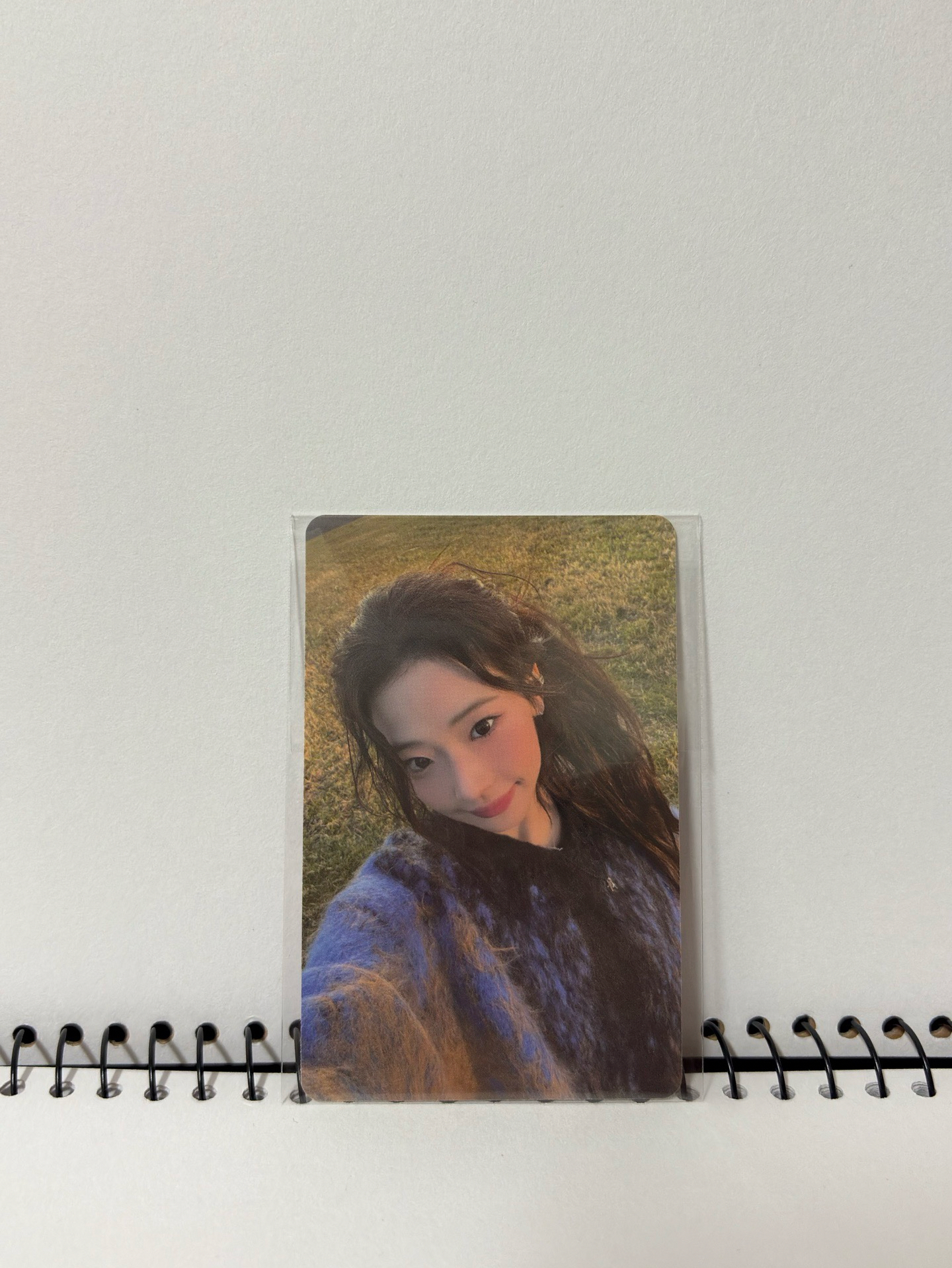 一週年外景滿額露