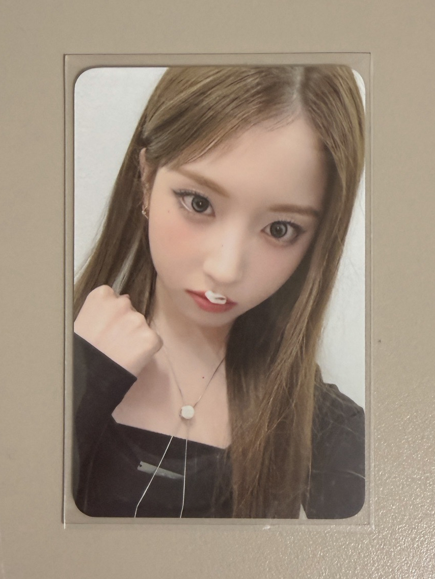 FORWARD sw 線下 6.0 簽售卡 卡布奇諾友