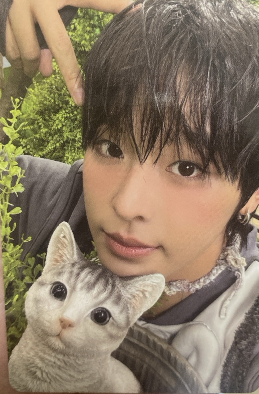 Color 專輯卡 JC單封