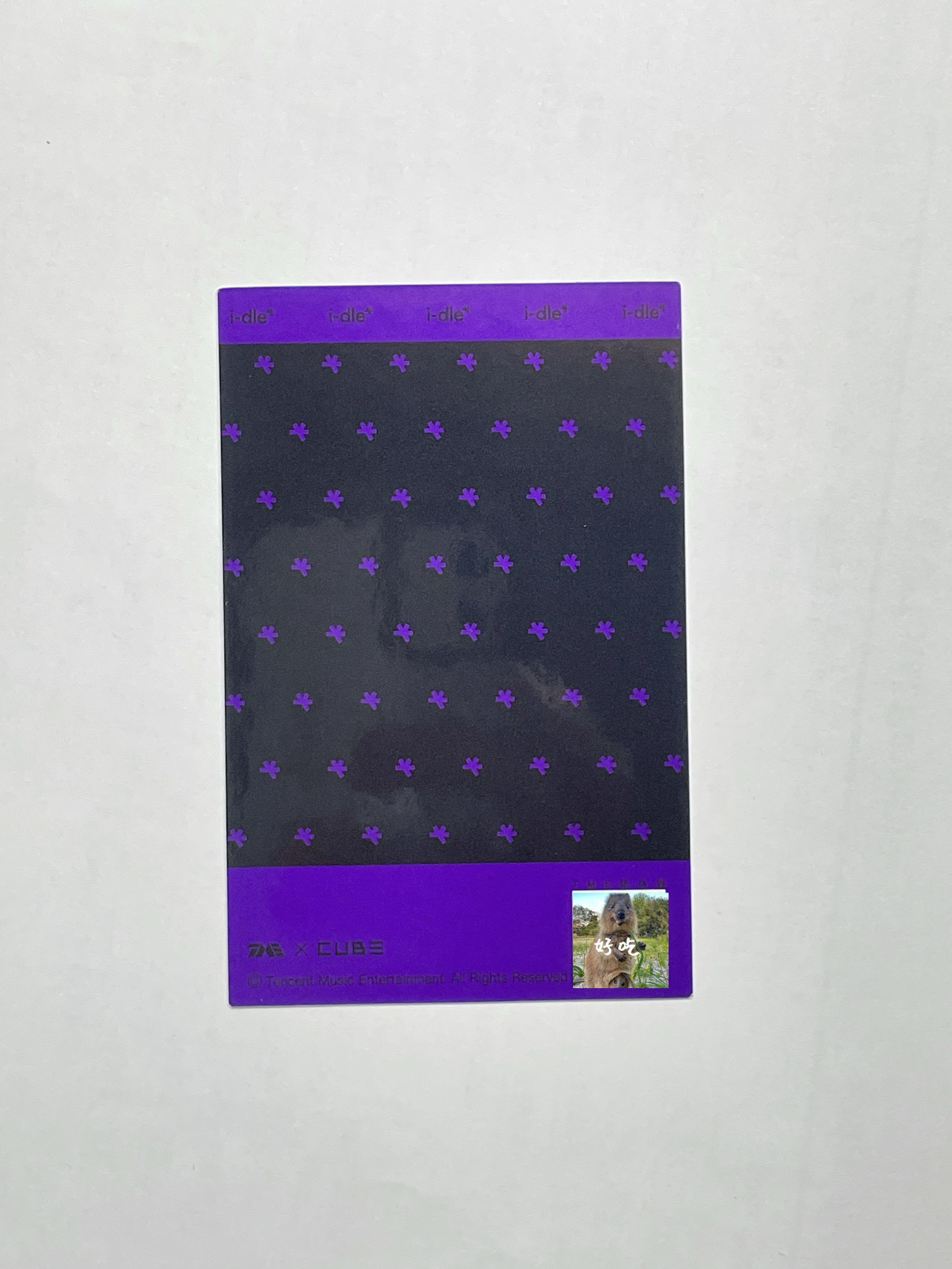 We are QQ音樂 星光卡 碎星 Miyeon