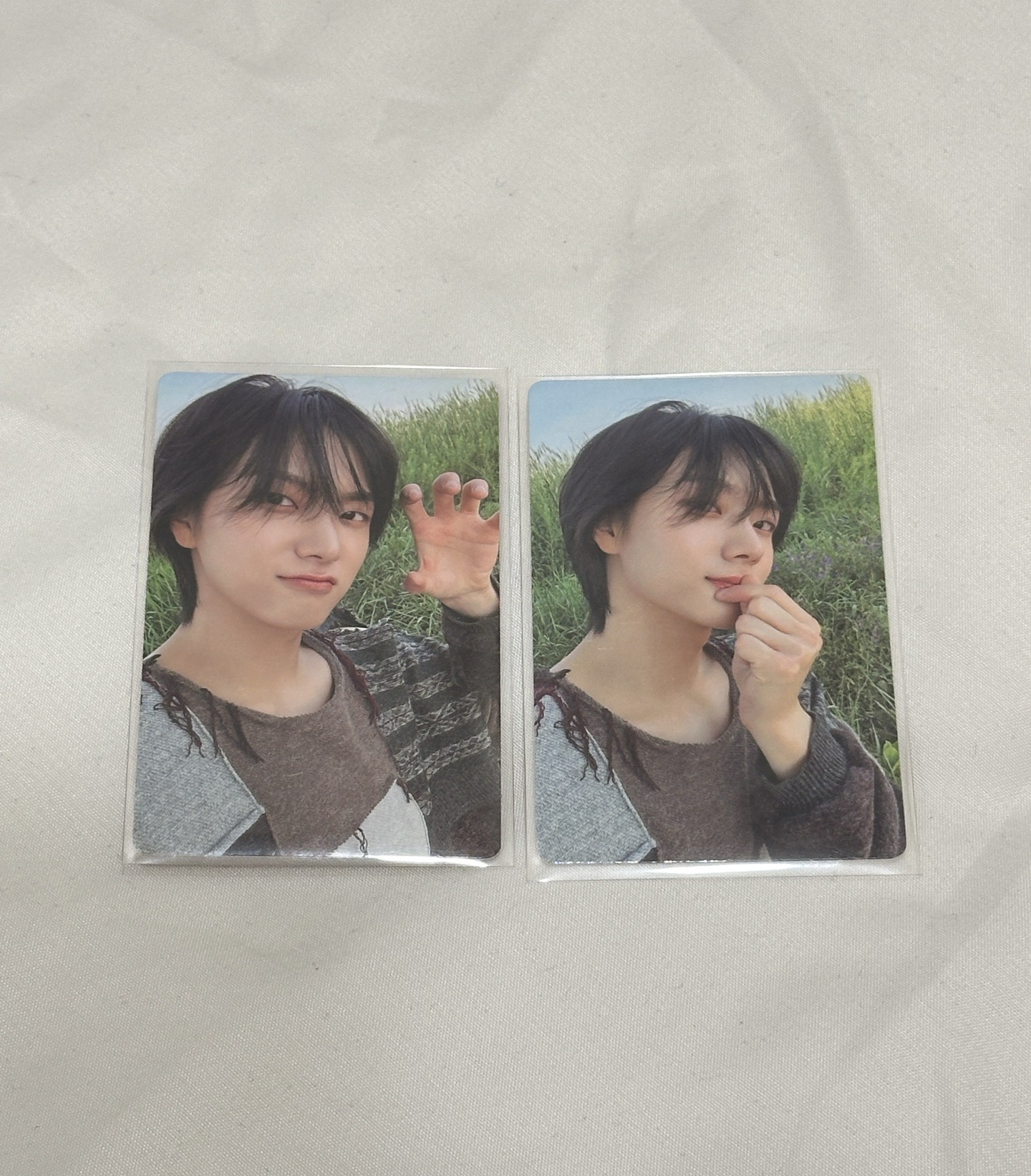 專卡 成淏🐱（兩張不拆）