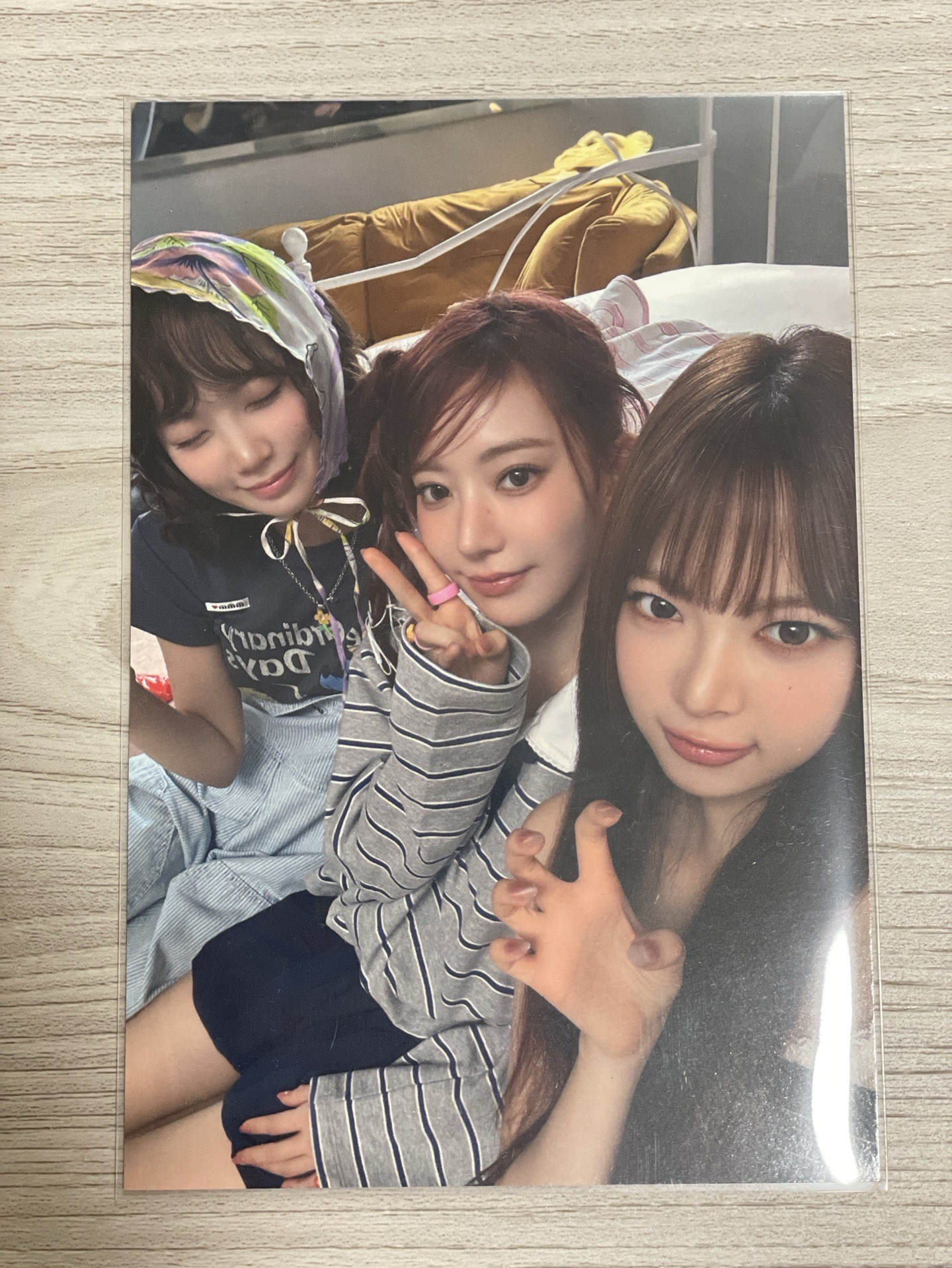 mp明信片 采櫻採