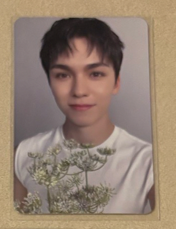 率-精選專克拉盤