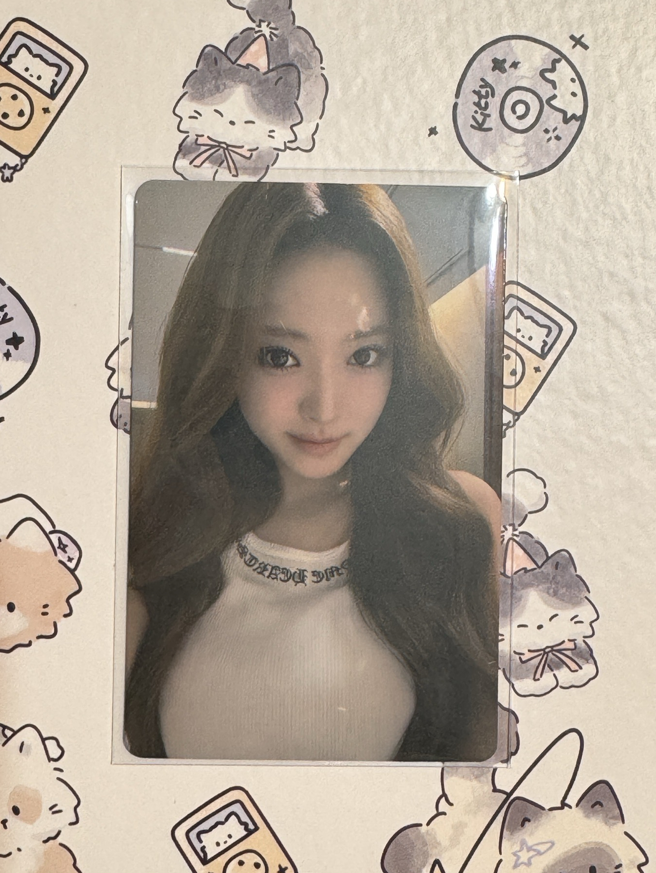 中國快閃小貓𝘁