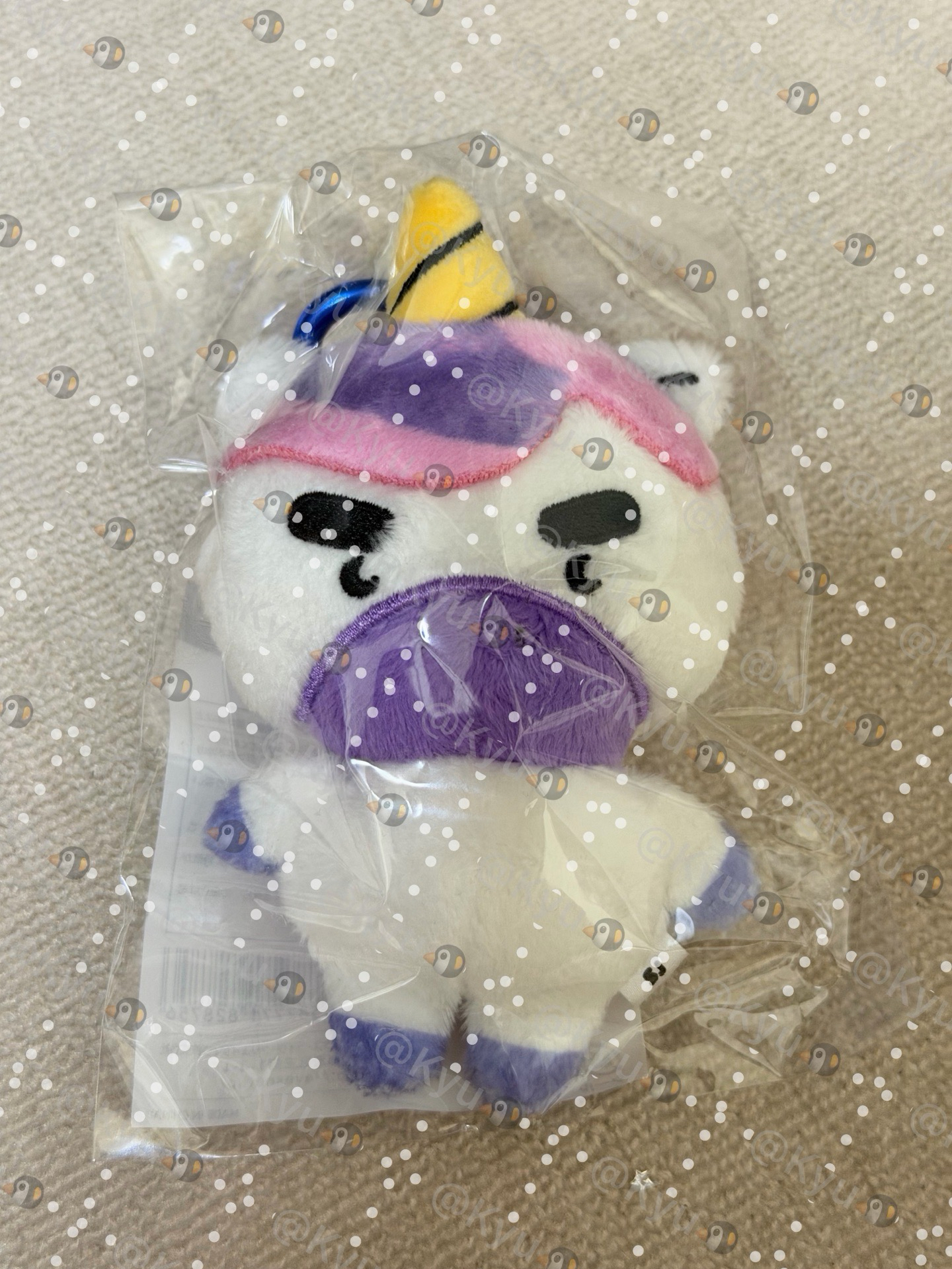 SS10 日周娃 始源馬+東海四格照