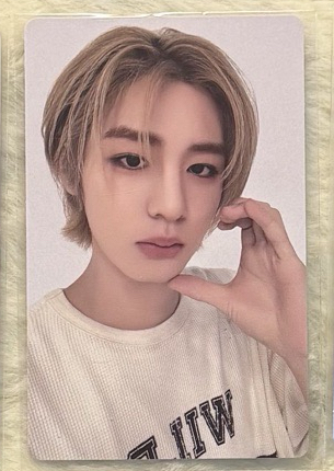 19.99 WVS單封特典