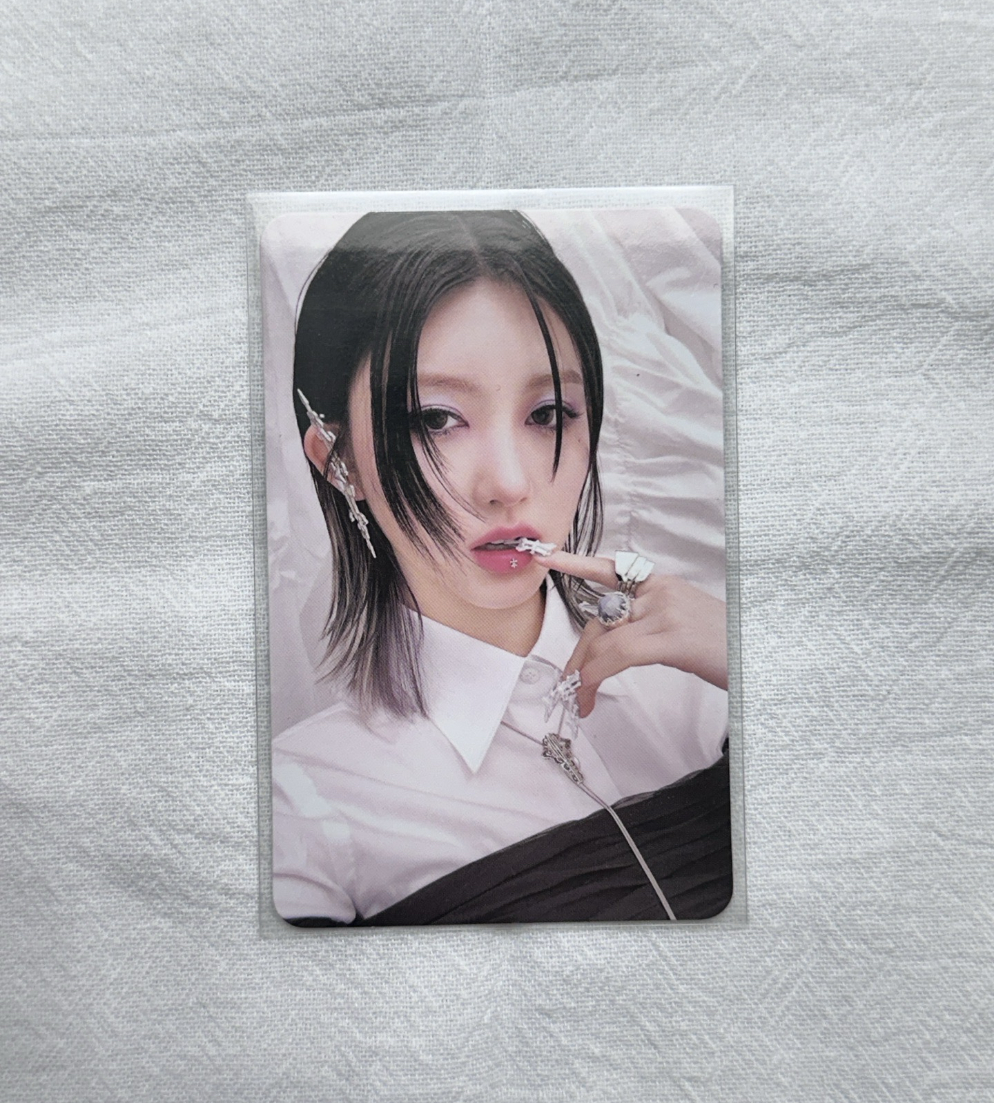 秋卡 員卡 安卡 怜卡 栗卡 娟卡 光卡