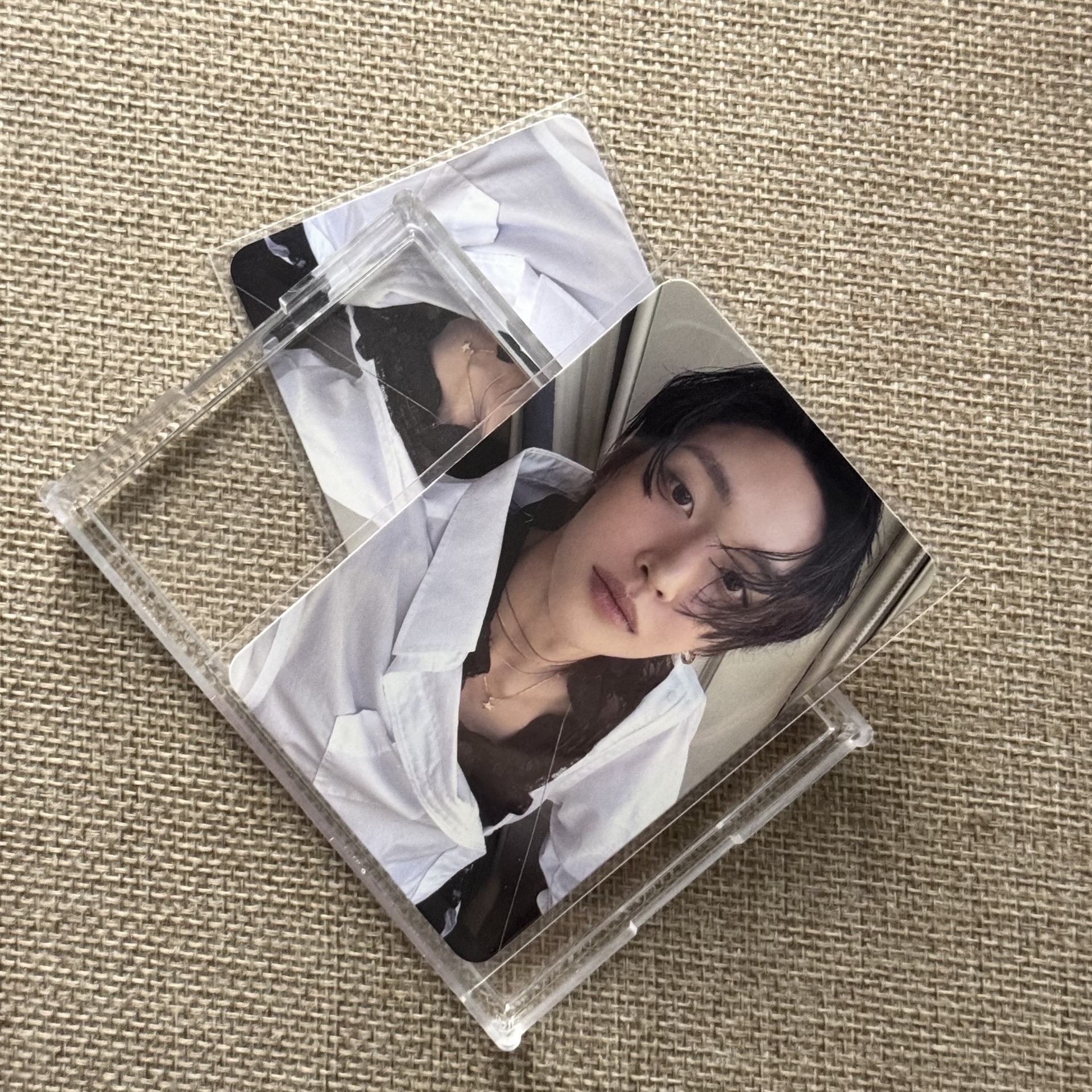 貌美的彬彬 有2張