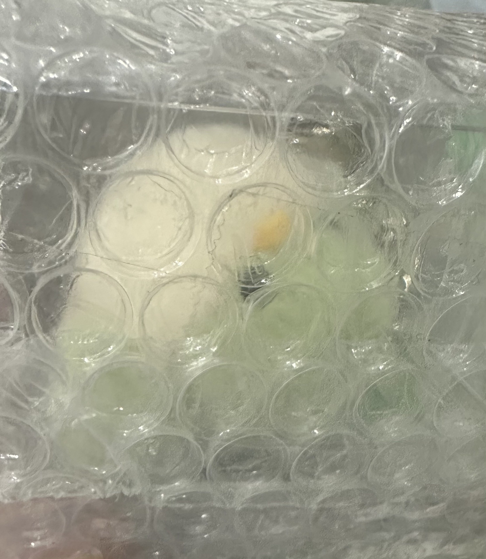 三代手燈、鳥寶寶吊飾