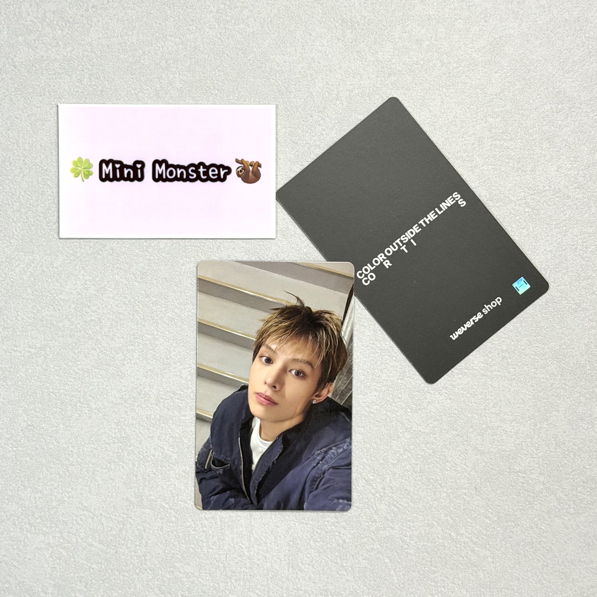 🍀Mini Monster🦥 wvs年末特典 凡