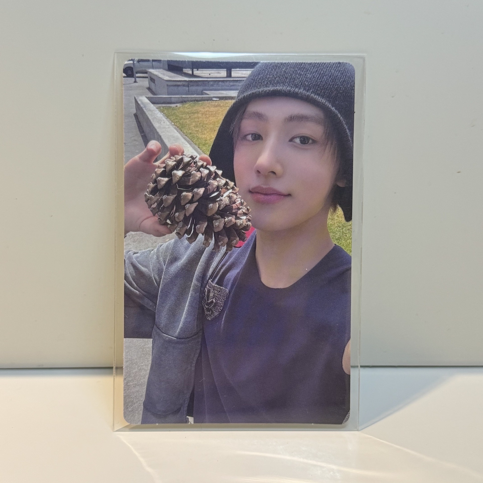 wvs預售 玹 現貨