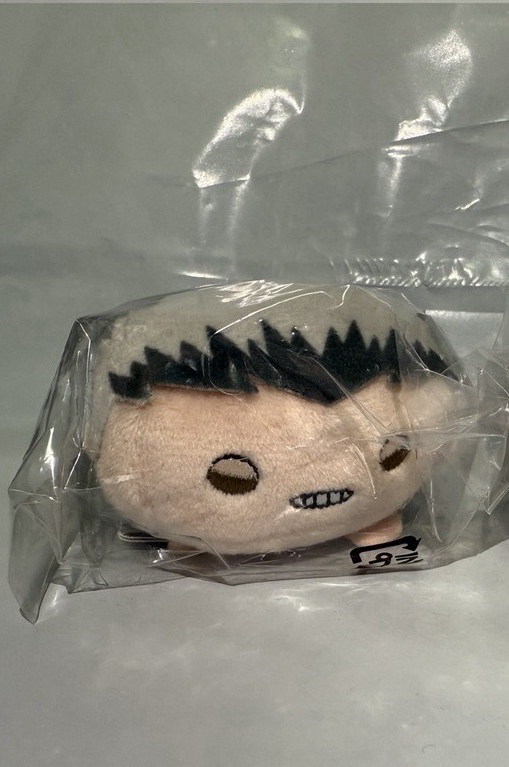 全新現貨 排球少年成年趴娃 BJ木兔