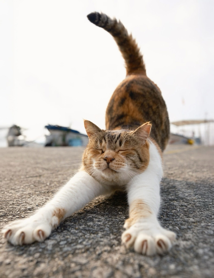 最香ㄉ紙片是千元大鈔