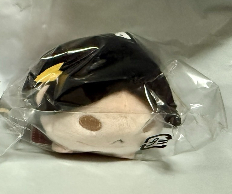 全新現貨 排球少年 成年趴娃 米奇研磨