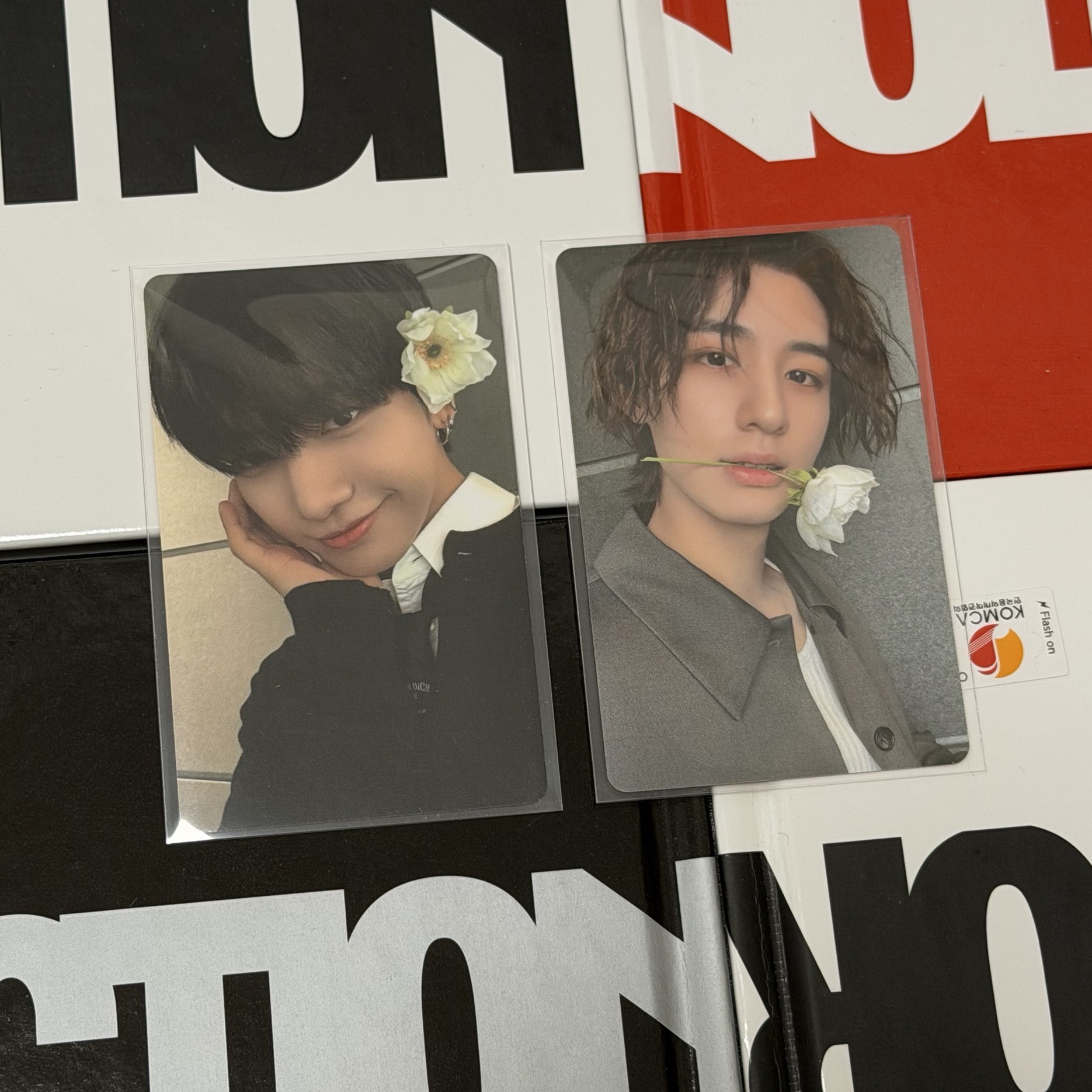 <THE ACTION> 花花水汪z 不拆賣!