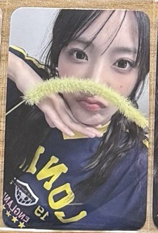 QWER SIYEON 狗尾草