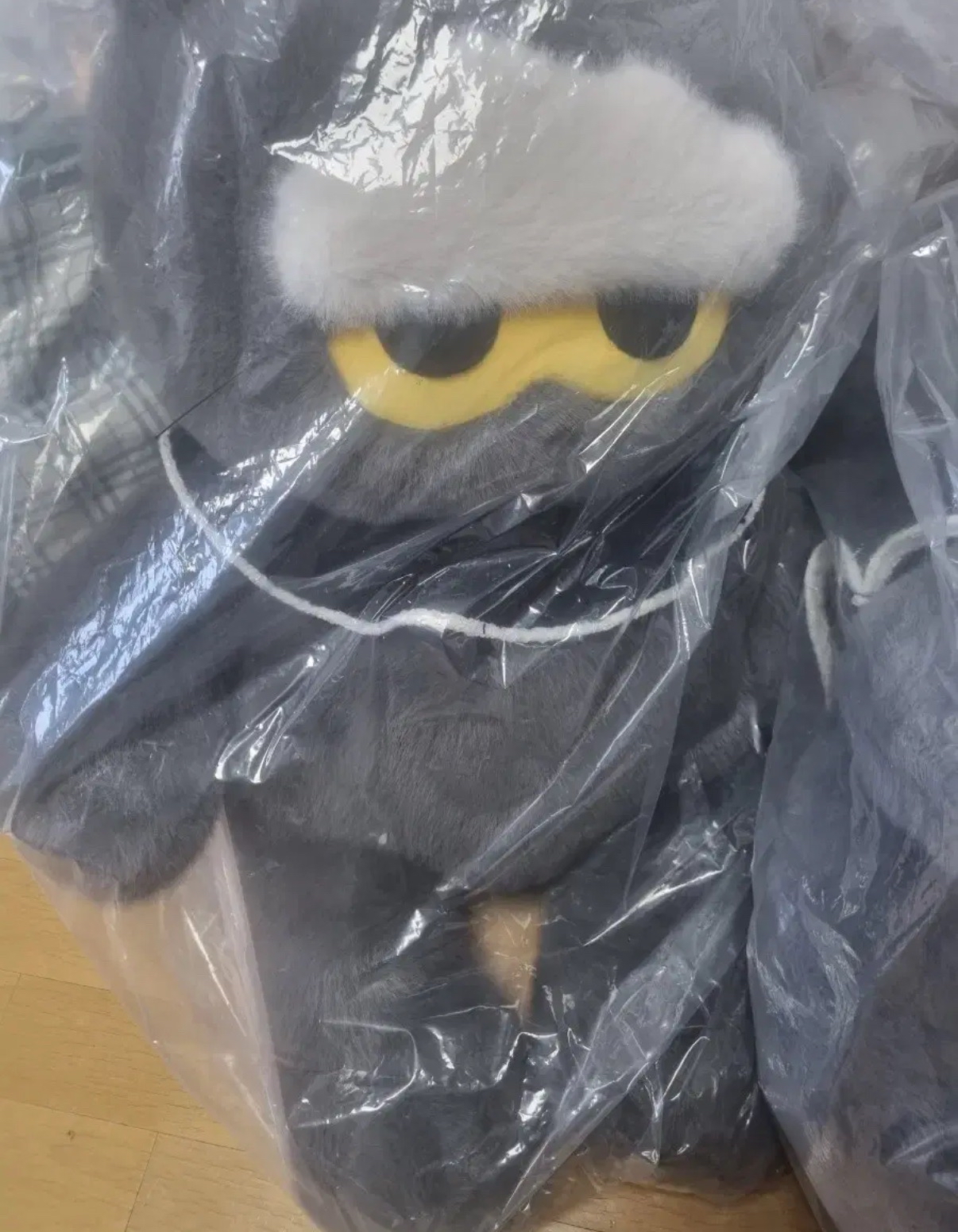 BIG ZOA 大娃 現貨 全新未拆