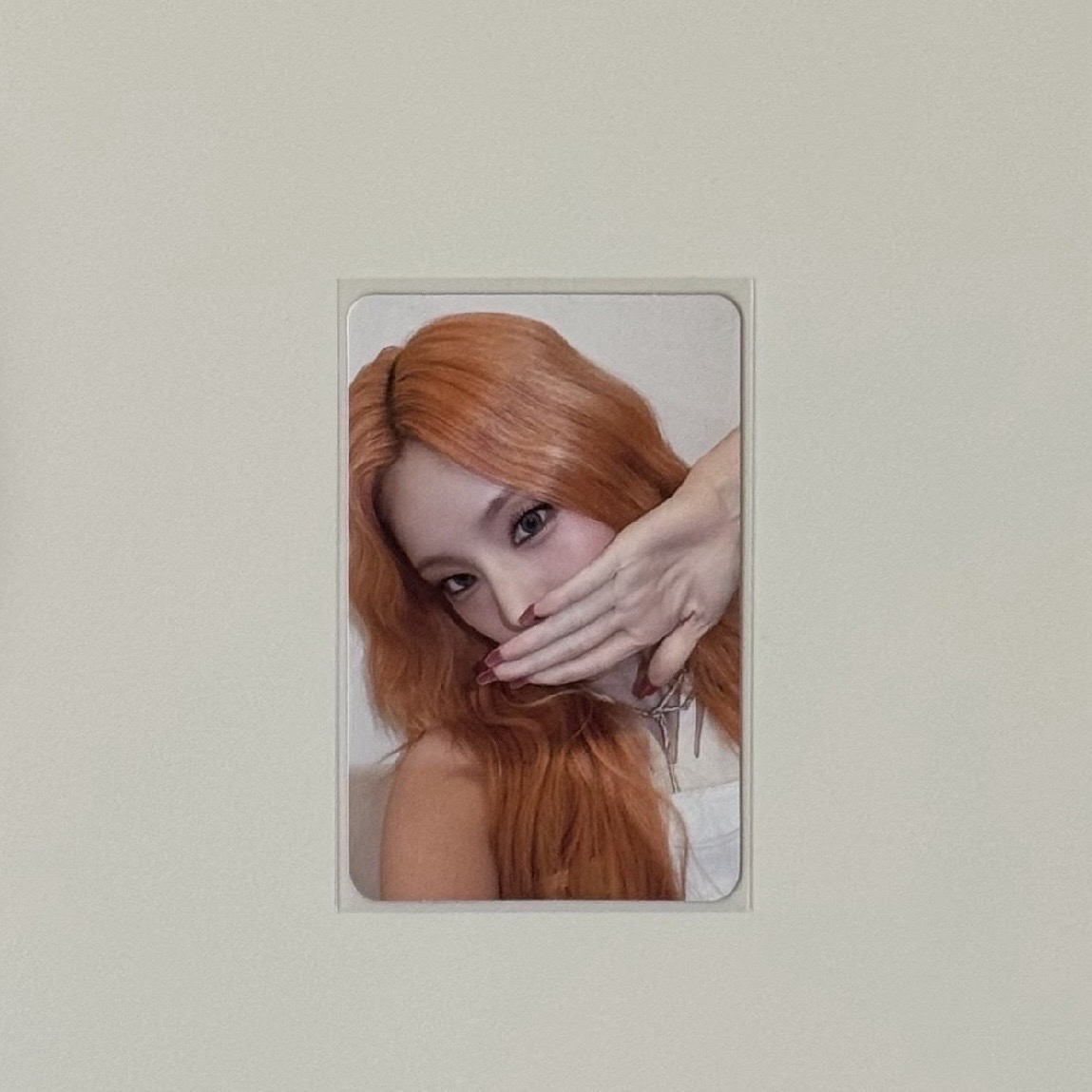 BORN TO BE ms 3.0 簽售卡 禮志