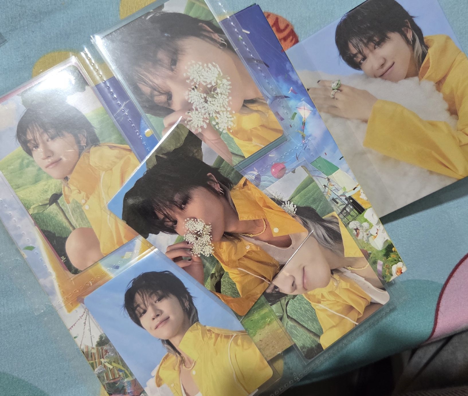 MINI11克拉盤全專含特典🐸