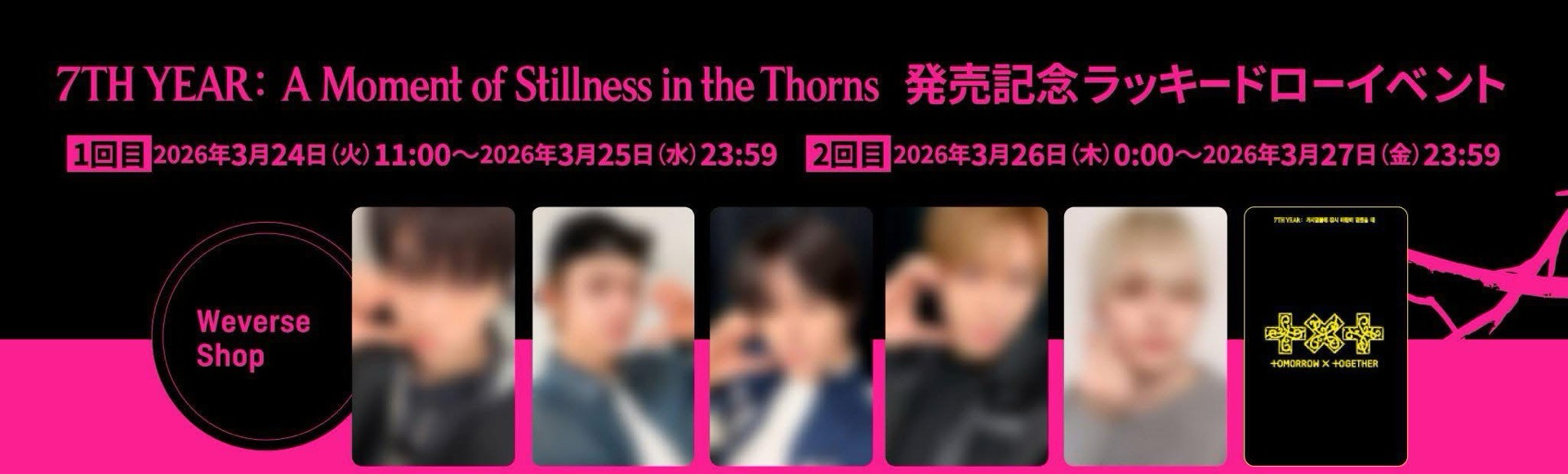 日咖（上排）五張