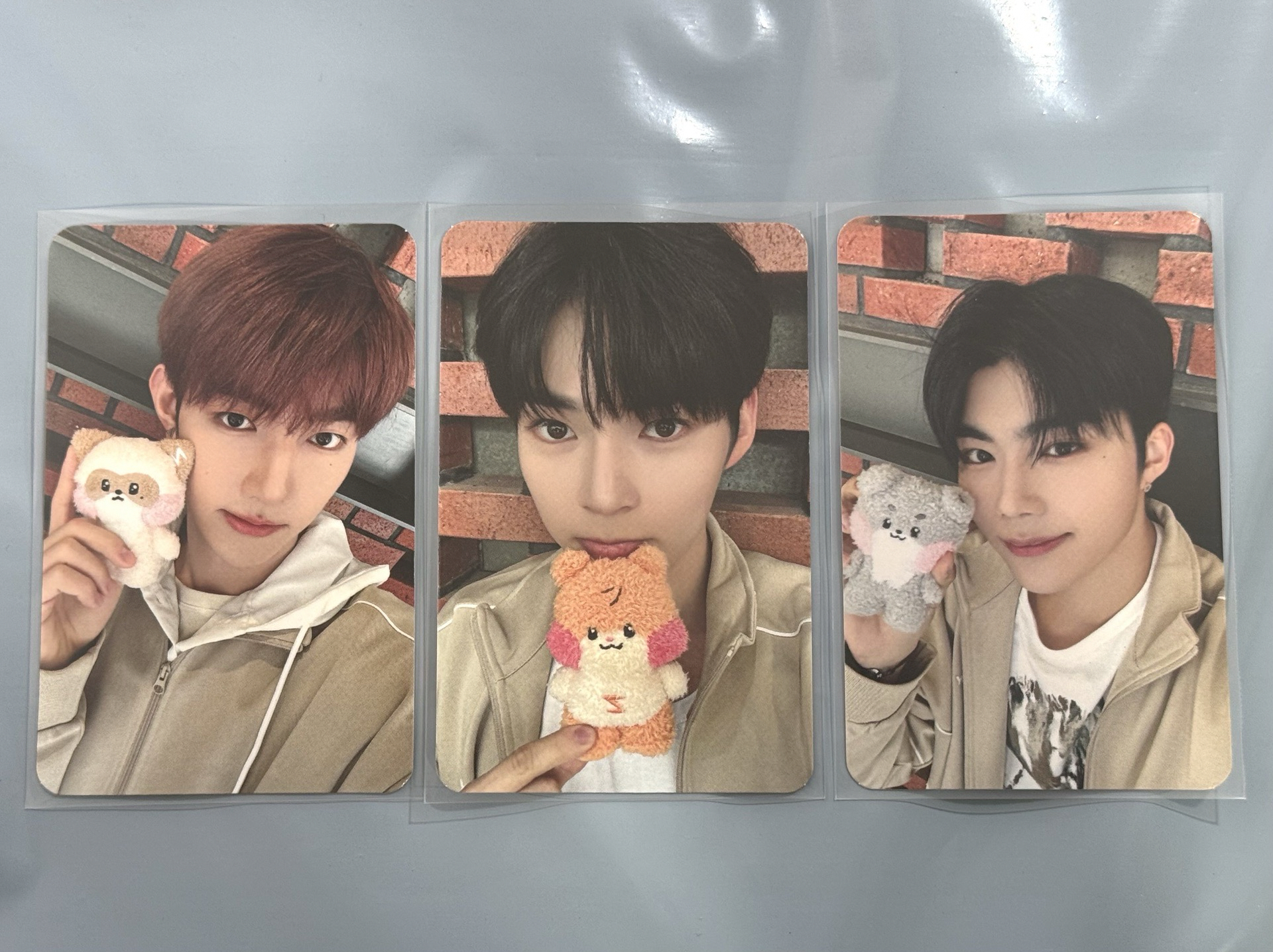 ZB1 zeroni 盒娃卡