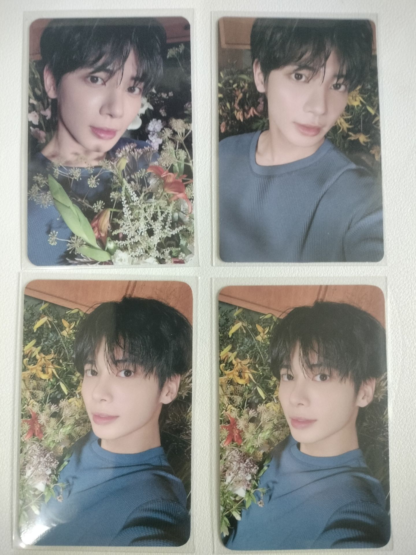 迷七 今晚來我的夢裡吧