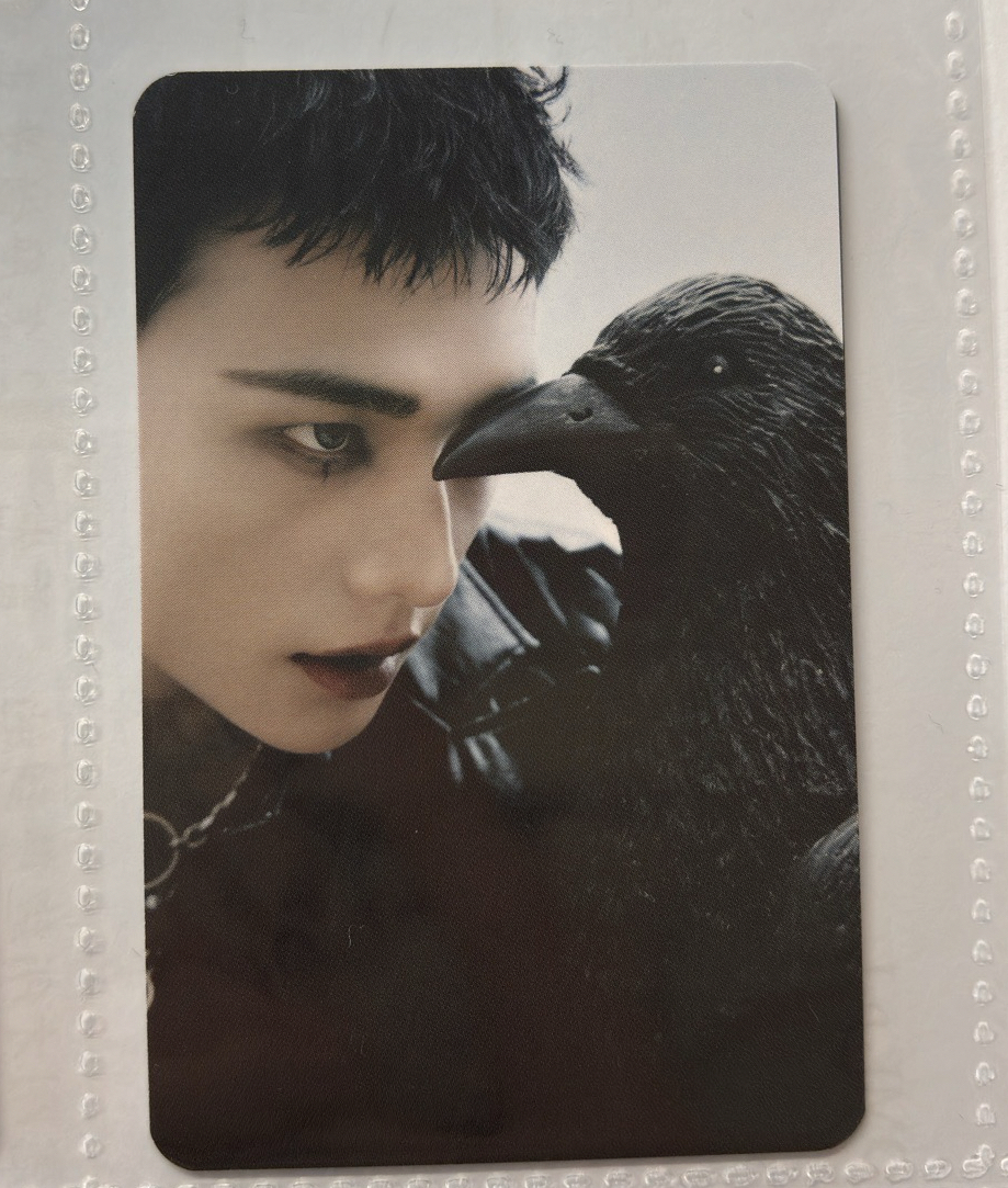 辰 Do it 固卡 Platform Plve ver.